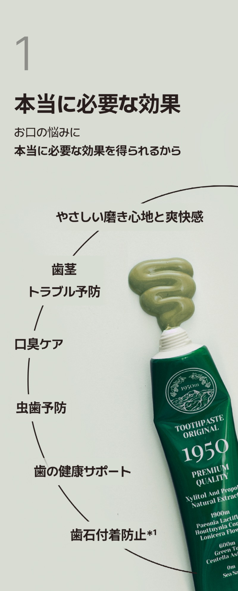 250525_그린 치약_상세페이지_6_일어_수정본.jpg