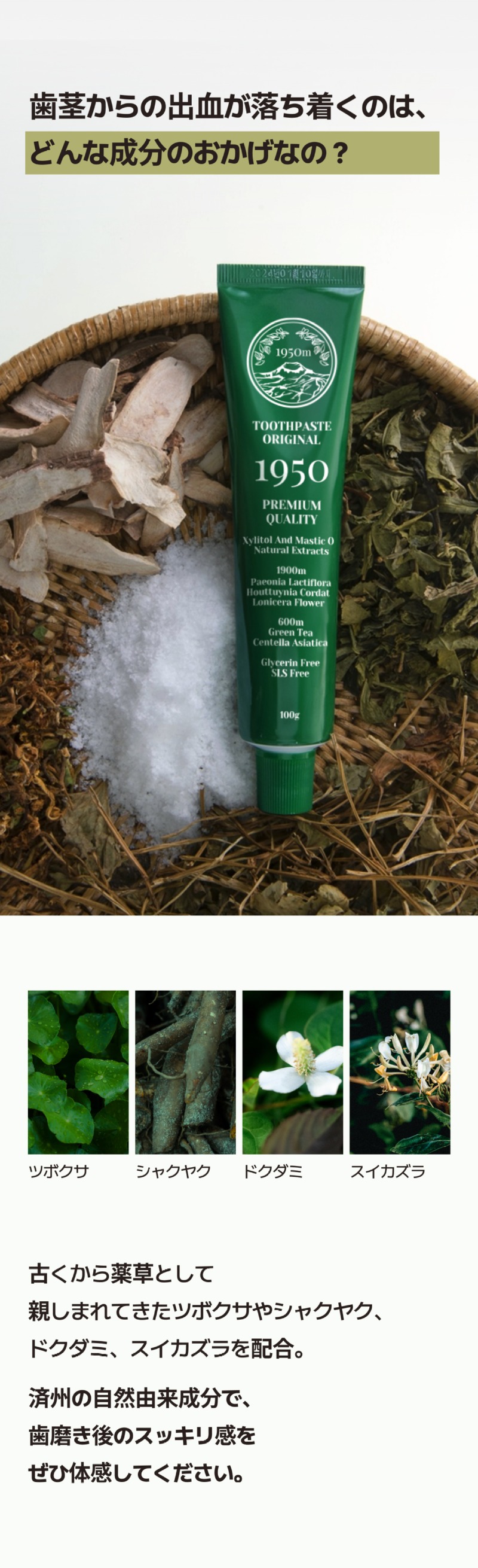 250525_그린 치약_상세페이지_8_일어_수정본.jpg