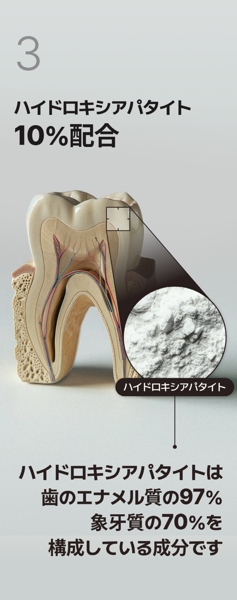 250525_그린 치약_상세페이지_11_일어_수정본.jpg