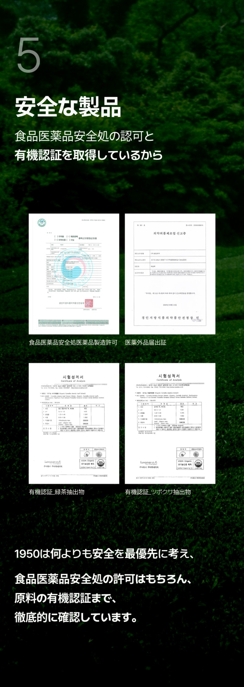 250525_그린 치약_상세페이지_15_일어_수정본.jpg