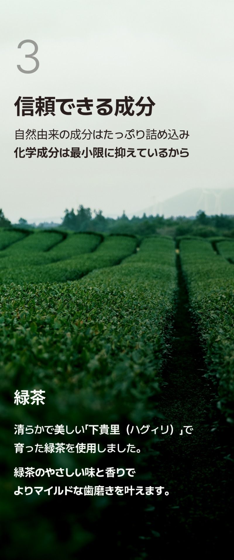 250527_블루 치약_상세페이지_일어_12.jpg