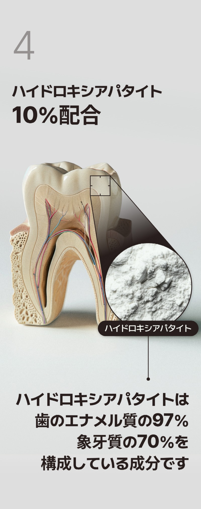 250527_블루 치약_상세페이지_일어_16.jpg
