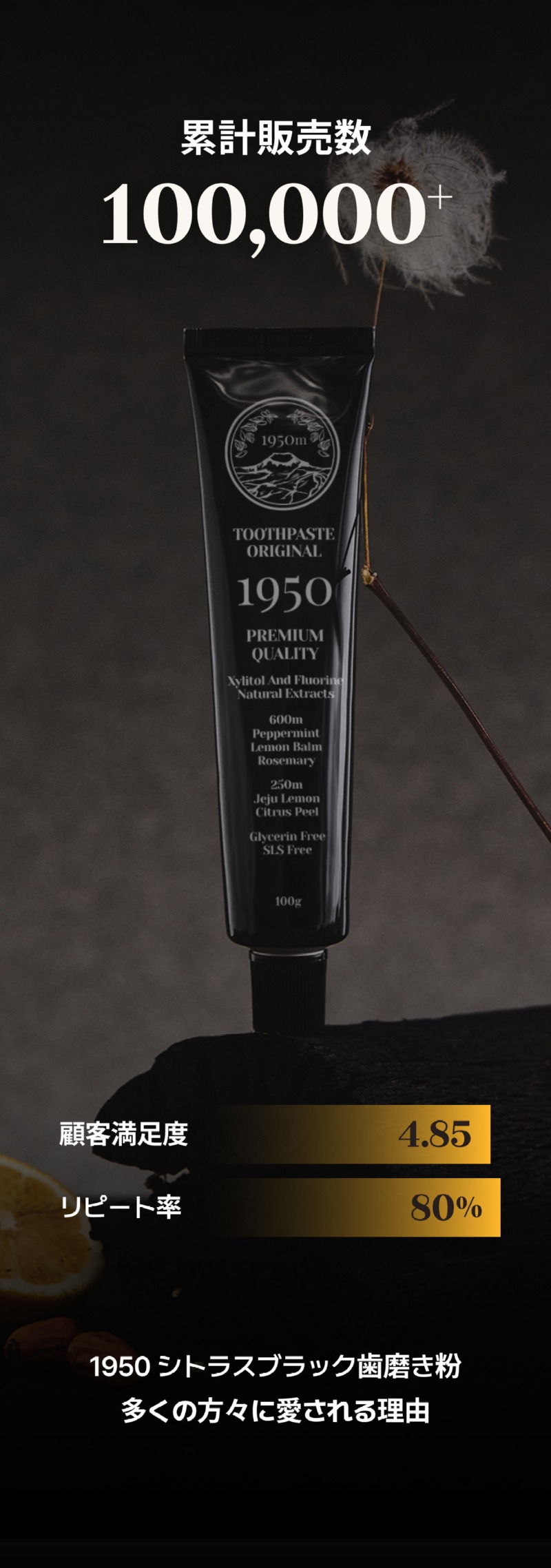 250526_블랙 치약_상세페이지_5_일어.jpg