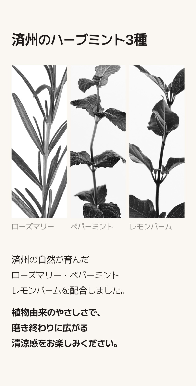 250526_블랙 치약_상세페이지_8_일어.jpg