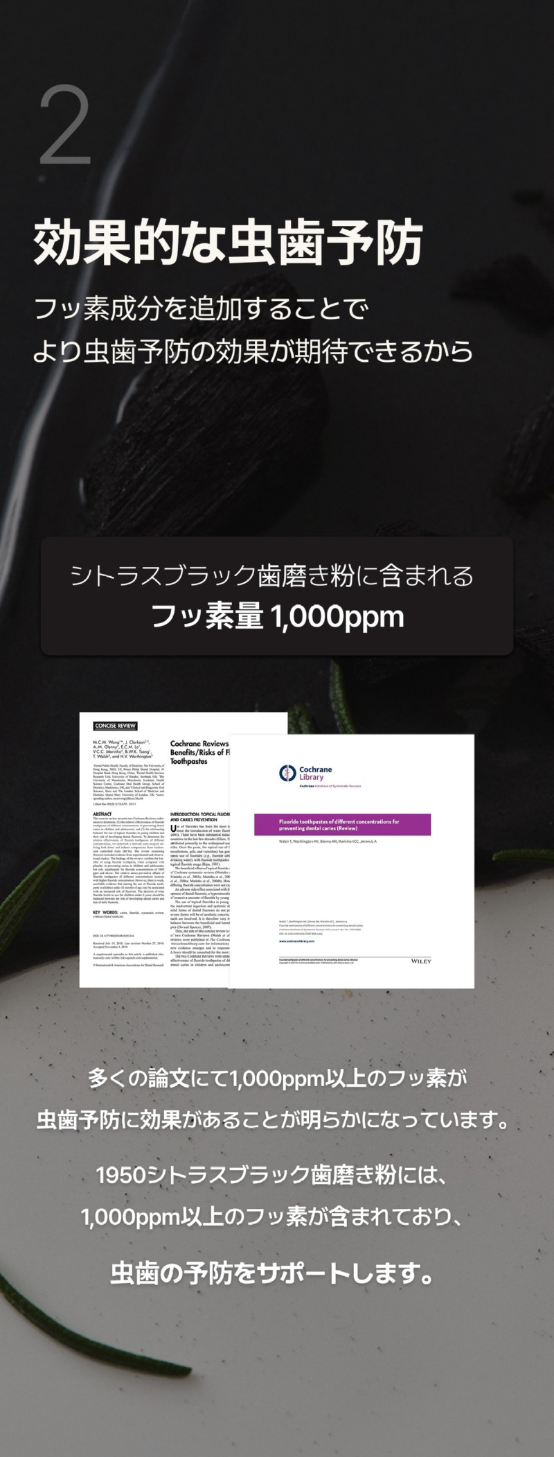 250526_블랙 치약_상세페이지_10_일어.jpg