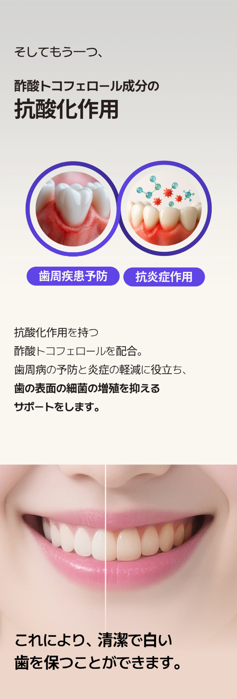 250514_라벤더 치약_상세페이지_일어_12.png