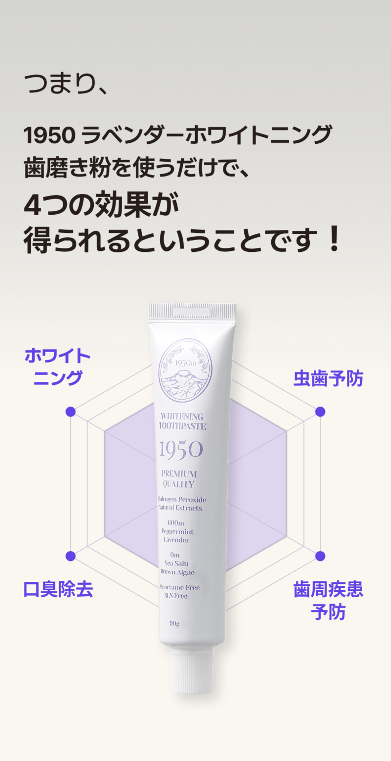 250514_라벤더 치약_상세페이지_일어_13.png