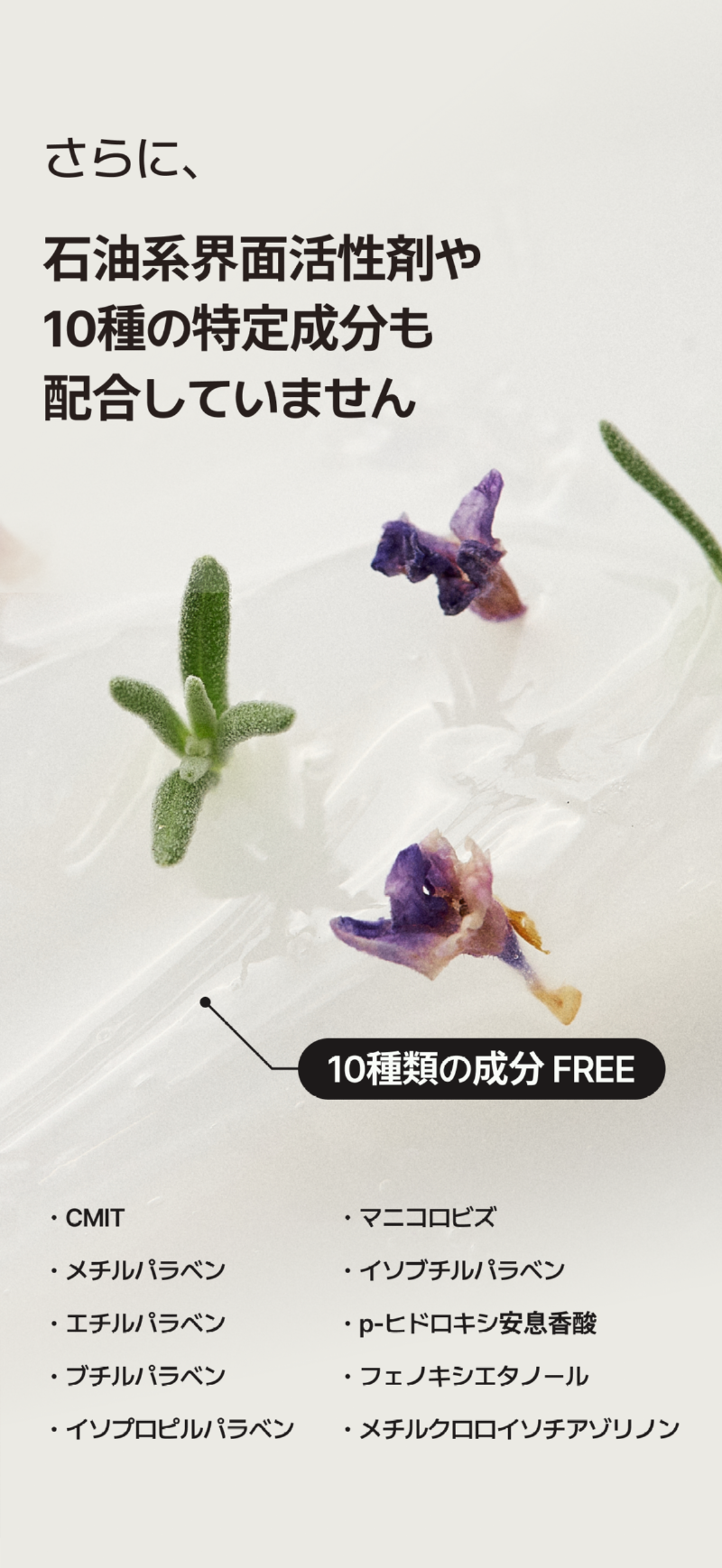 250514_라벤더 치약_상세페이지_일어_15.png