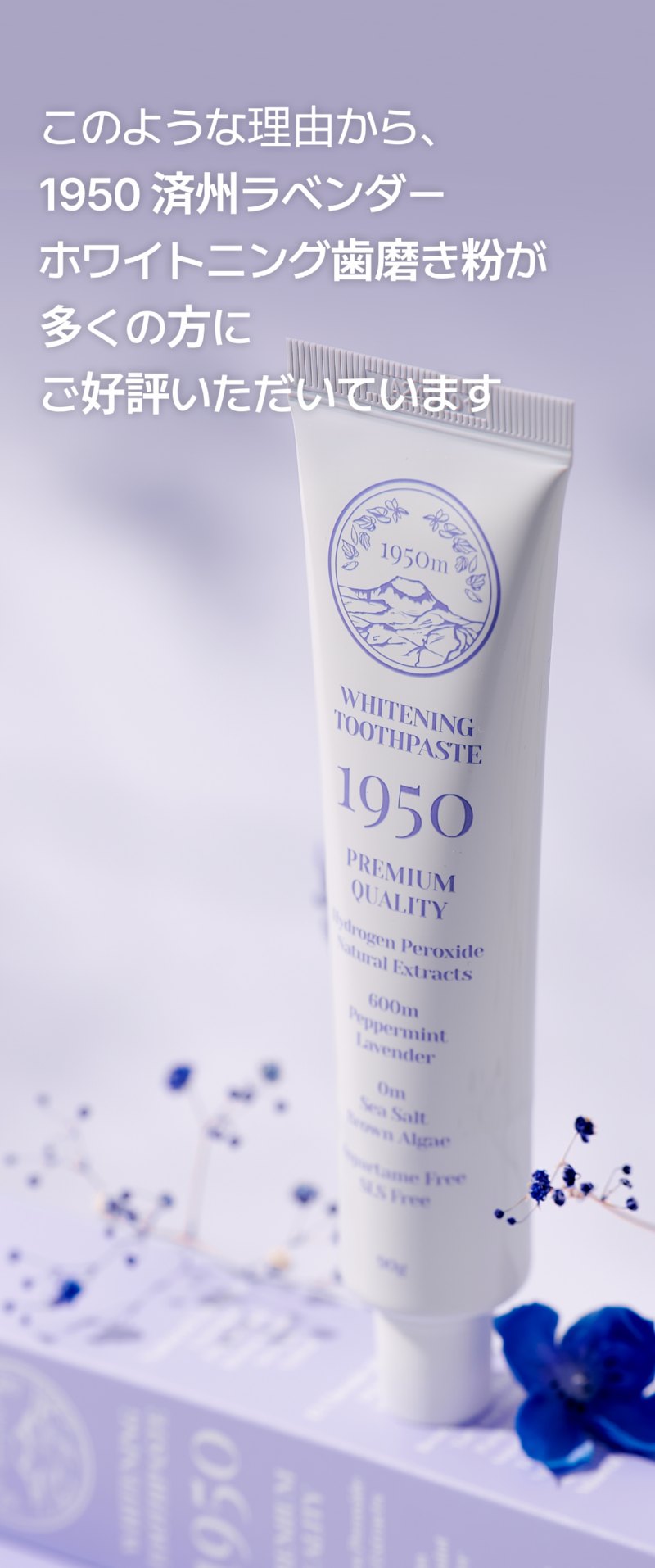 250514_라벤더 치약_상세페이지_일어_17.png
