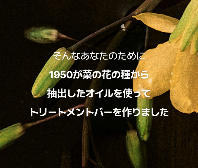 250529 _트리트먼트 상세페이지_일어_2.jpg