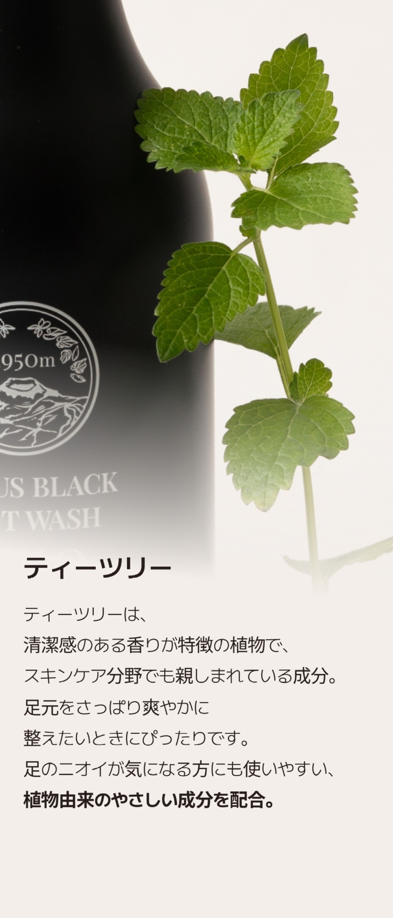 250528_풋워시_상세페이지 일어_10.jpg