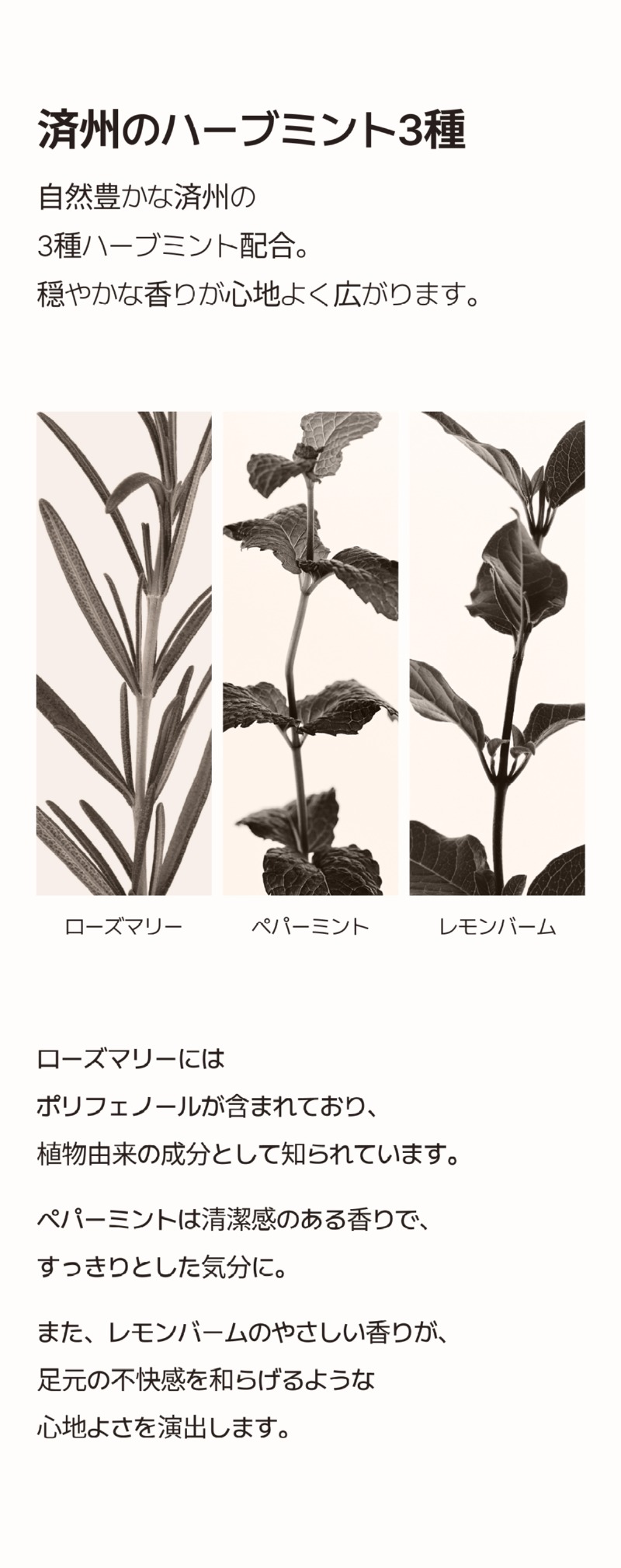 250528_풋워시_상세페이지 일어_11.jpg